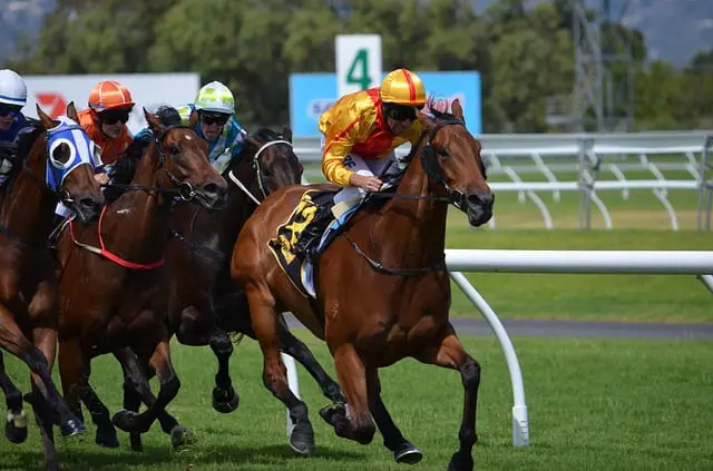 www.maxpixel.net-Jockey-Racing-Sport-Rider-Horses-Track-380406