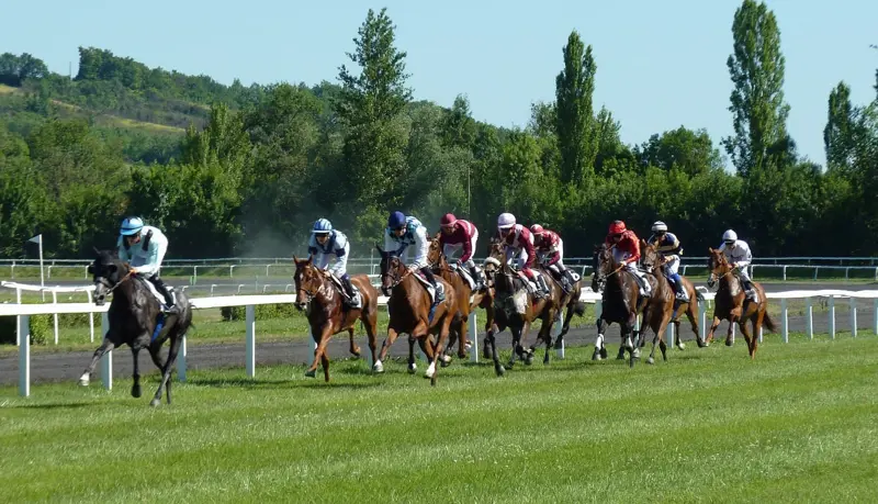 horse-race-1665688_1280