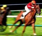 Horseracing_0_4