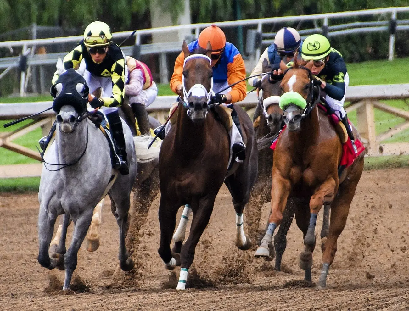 Horse-Racing-4_7