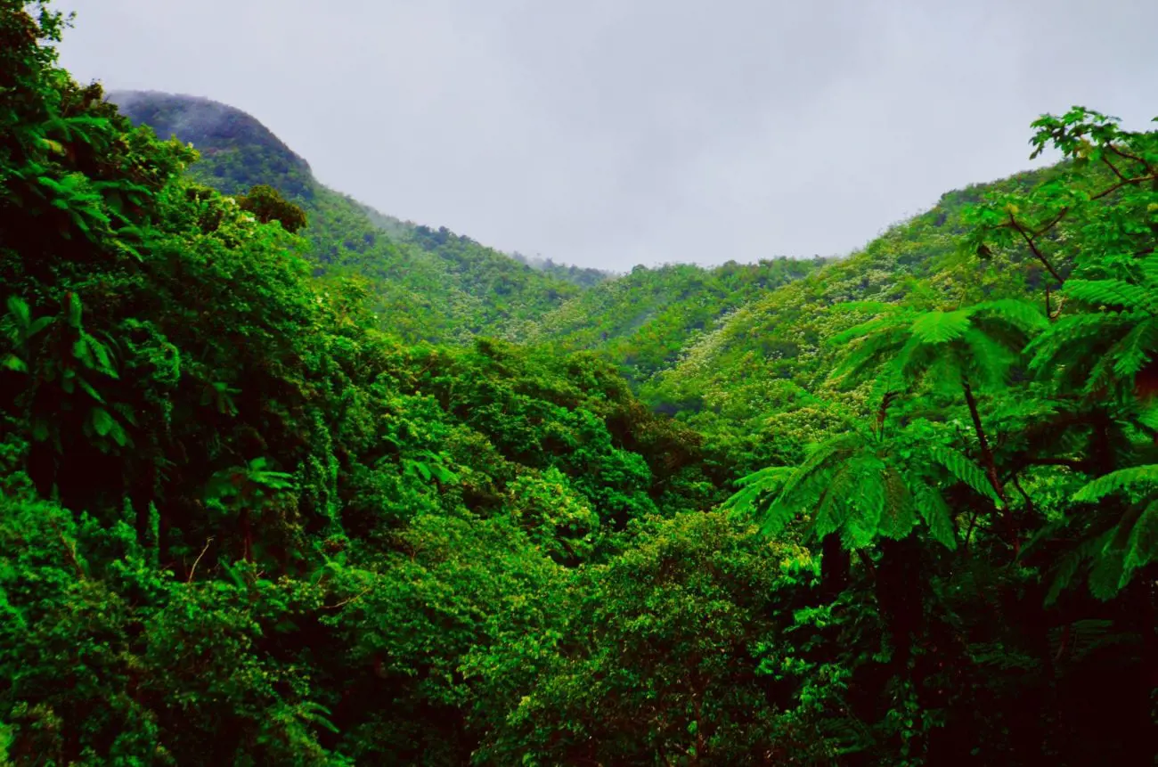 Puerto-Rico-scaled