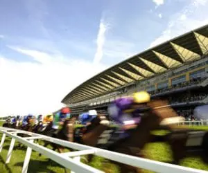 horse-racing