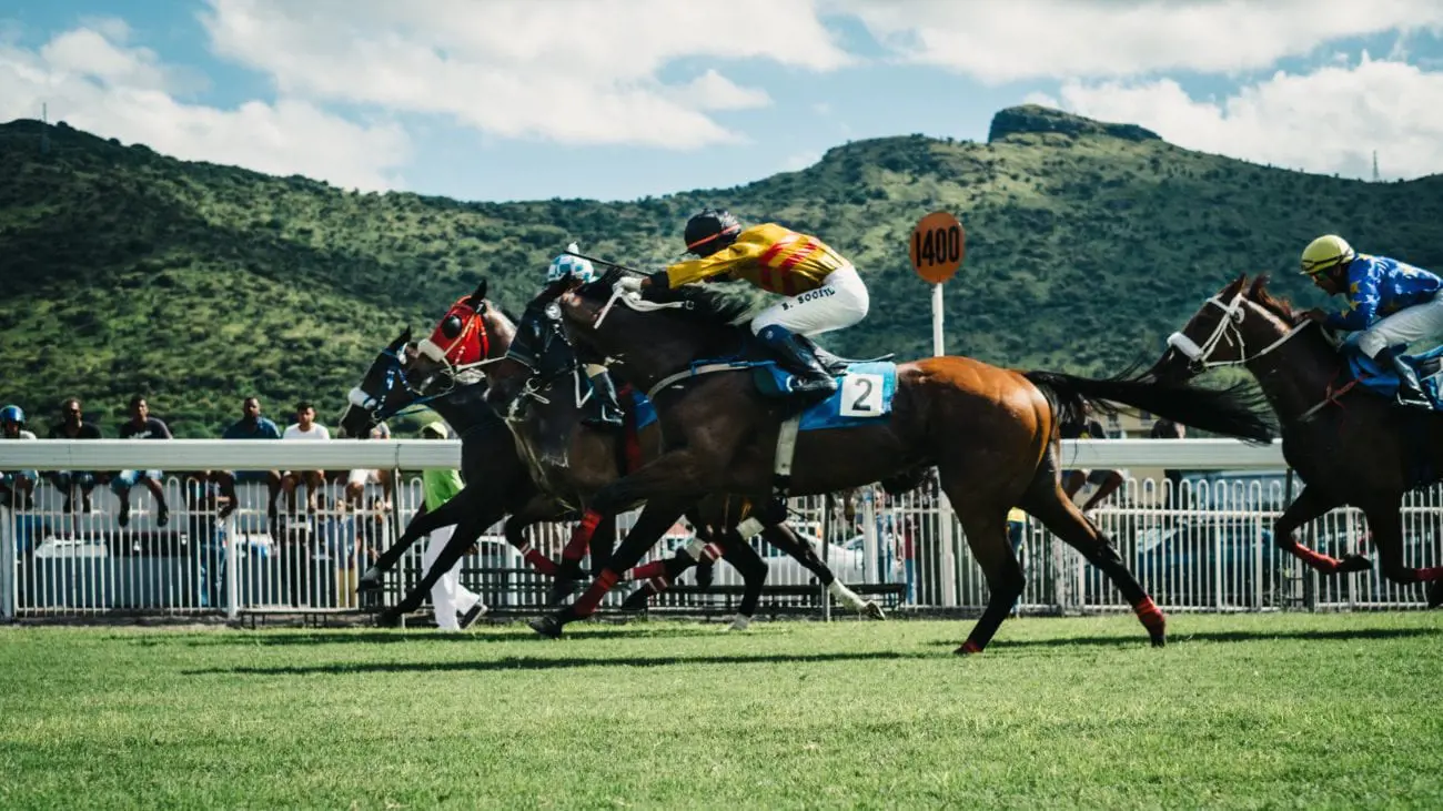 horse-race-sports-racing-jockey-race-track-1404257-pxhere.com1_