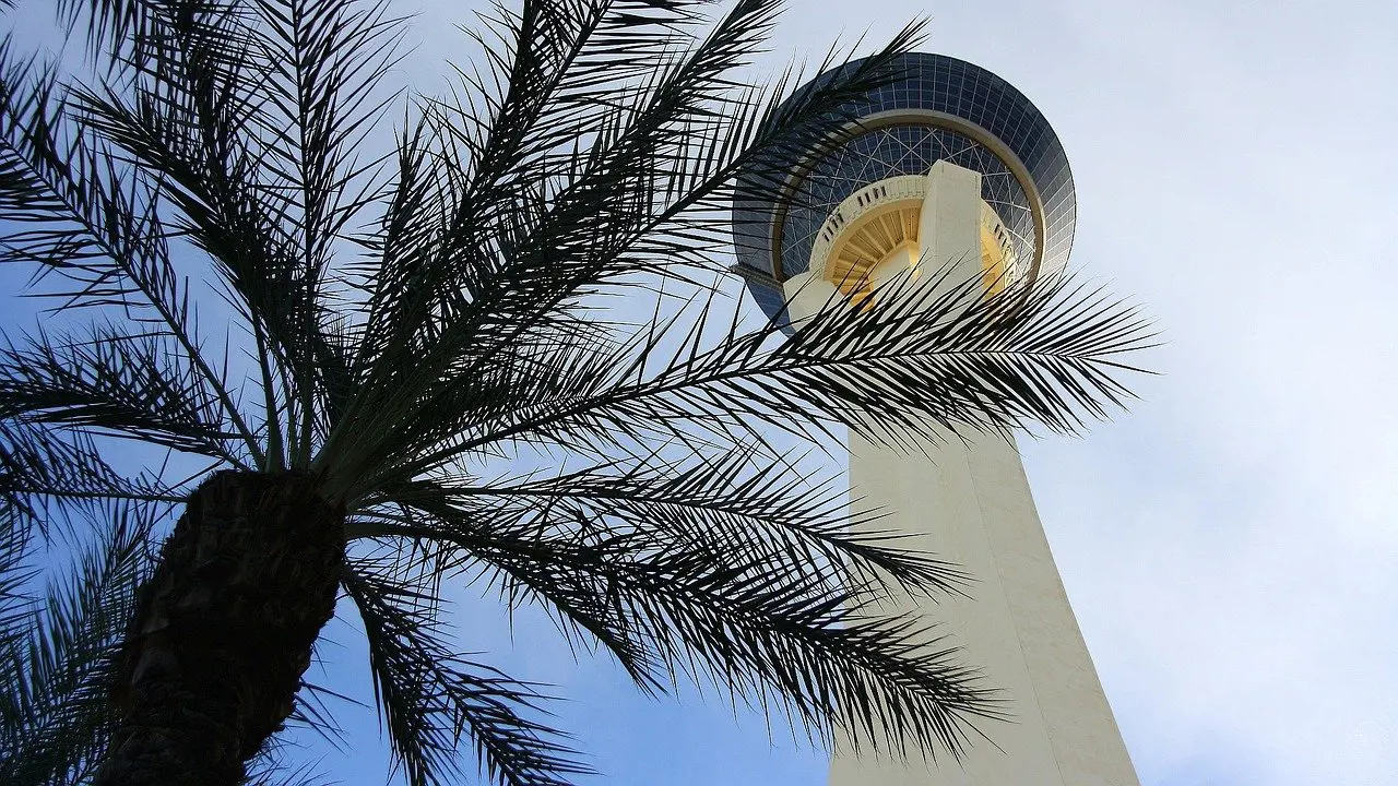 las-vegas-2650161_1280