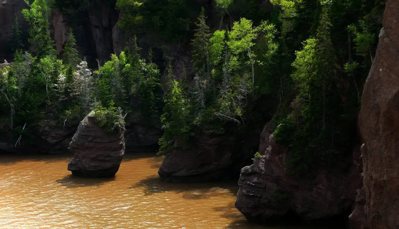 hopewell-rocks-54991_1920