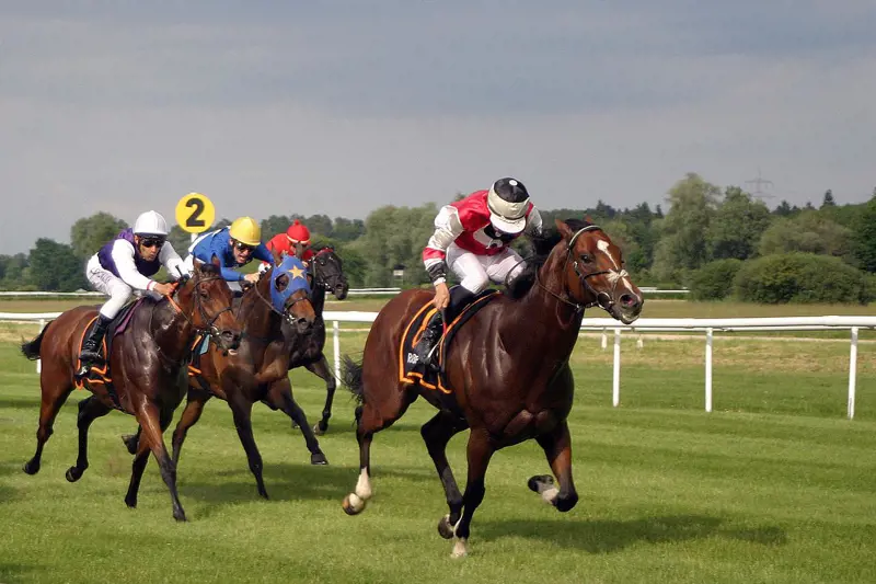 horse-race-2714846_1280