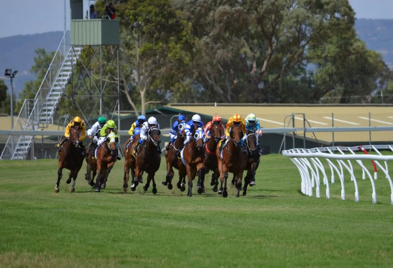 sport-rider-horses-jockey-racing-wallpaper_1