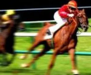 Horseracing_0_0_0_45
