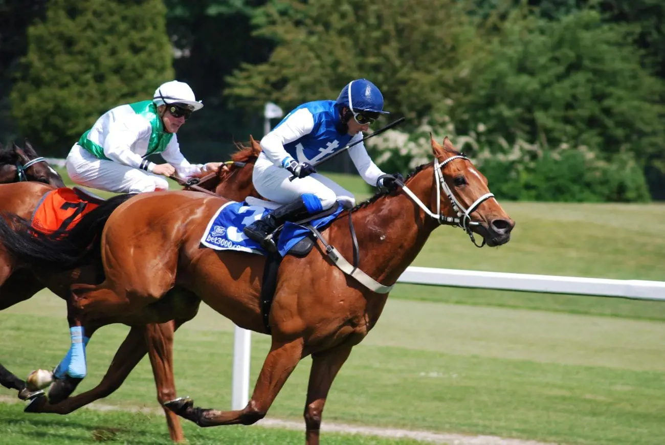 race-horses-racecourse-wallpaper