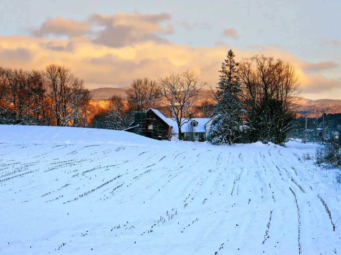 vermont-farm-2431117_1920-scaled