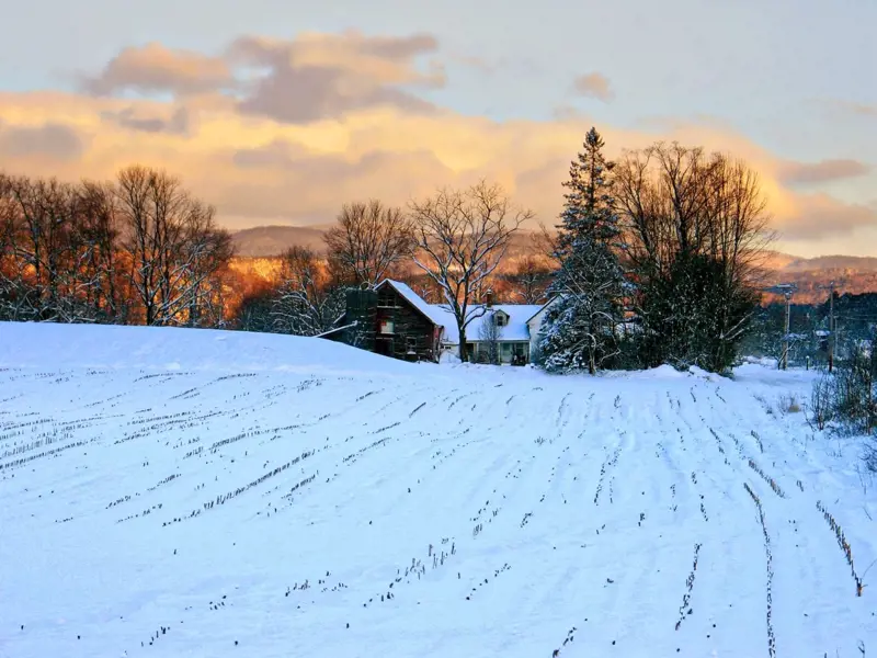 vermont-farm-2431117_1920-scaled