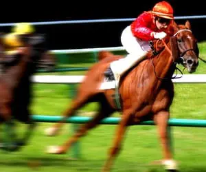 horse-racing-pic_2