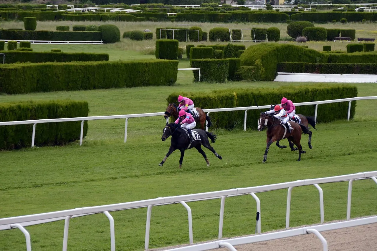 horse-racing-1577286_1280