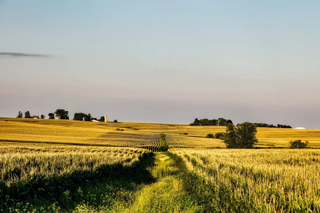 iowa-scaled